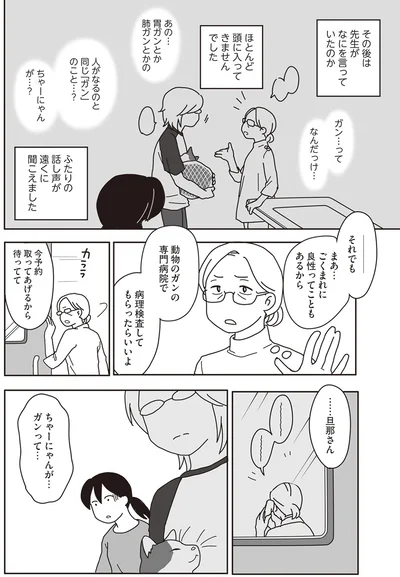 『世界一幸せな飼い主にしてくれた猫』より