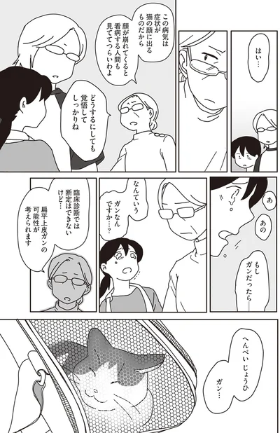『世界一幸せな飼い主にしてくれた猫』より