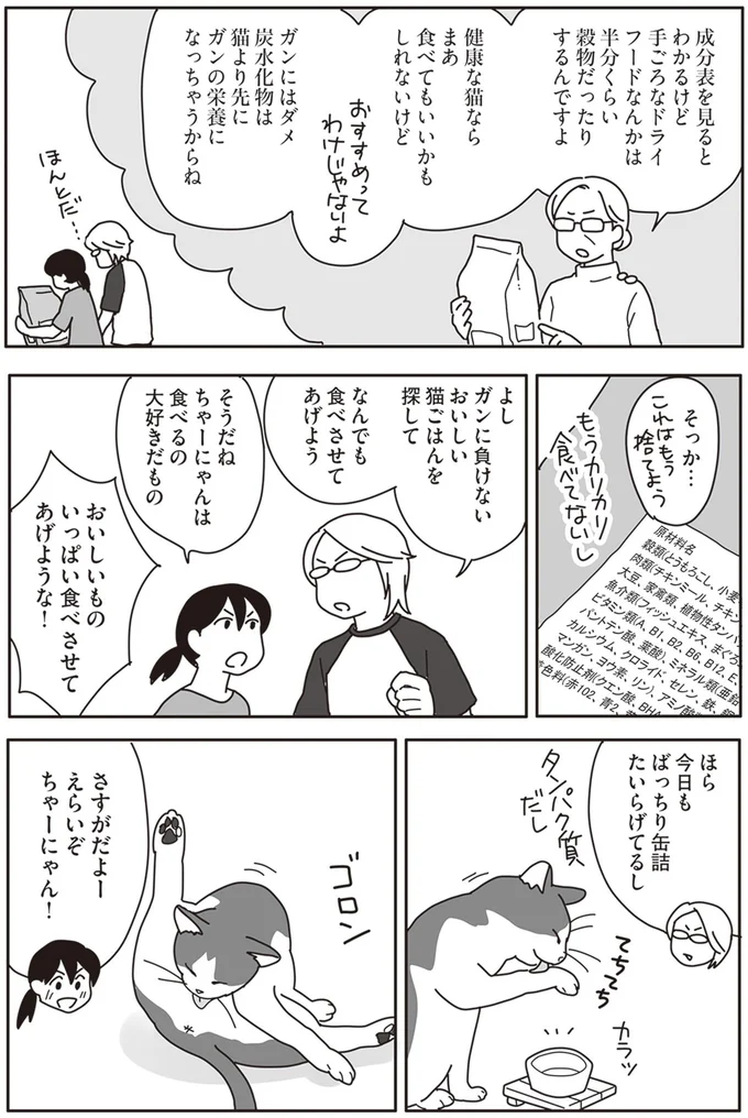 『世界一幸せな飼い主にしてくれた猫』より
