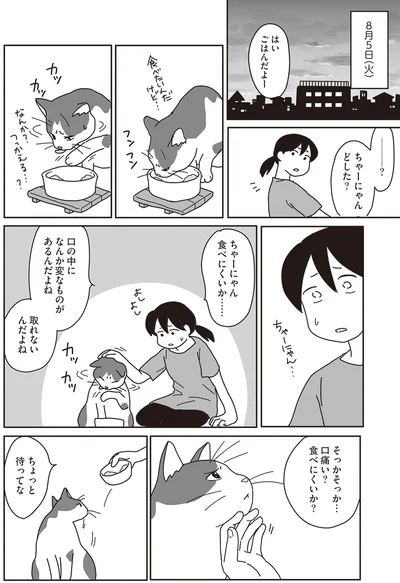 『世界一幸せな飼い主にしてくれた猫』より
