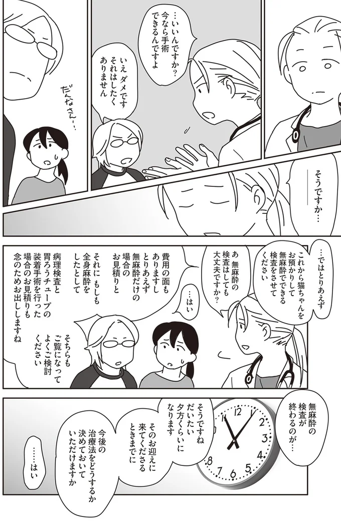 『世界一幸せな飼い主にしてくれた猫』より