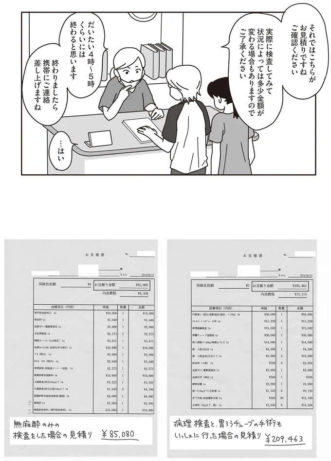 『世界一幸せな飼い主にしてくれた猫』より