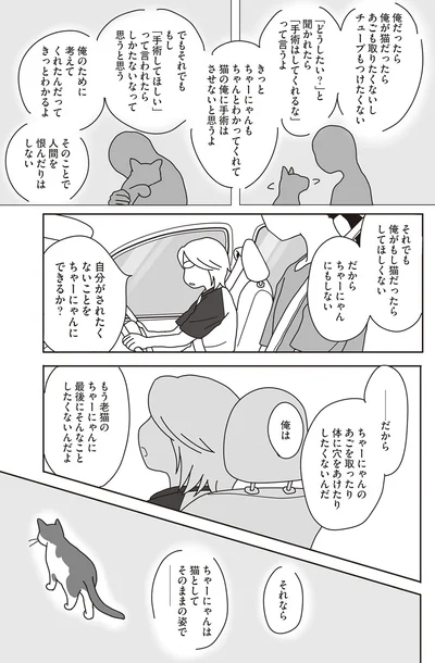 『世界一幸せな飼い主にしてくれた猫』より