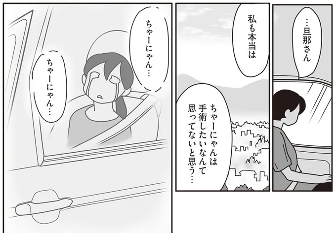 『世界一幸せな飼い主にしてくれた猫』より