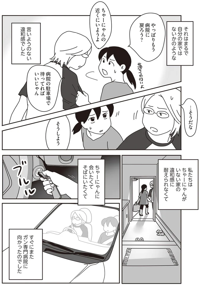 『世界一幸せな飼い主にしてくれた猫』より