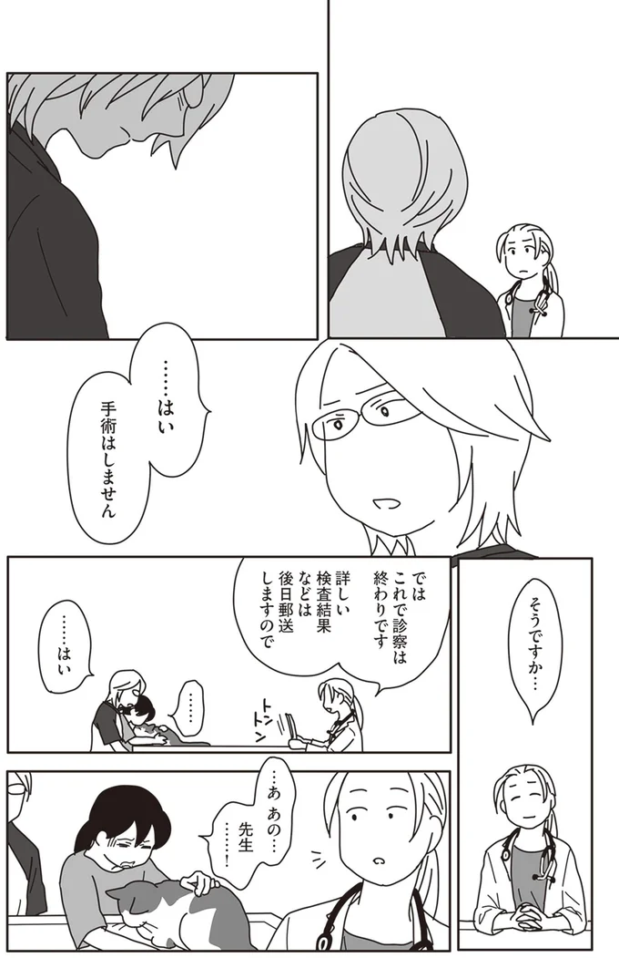 『世界一幸せな飼い主にしてくれた猫』より