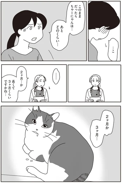 『世界一幸せな飼い主にしてくれた猫』より