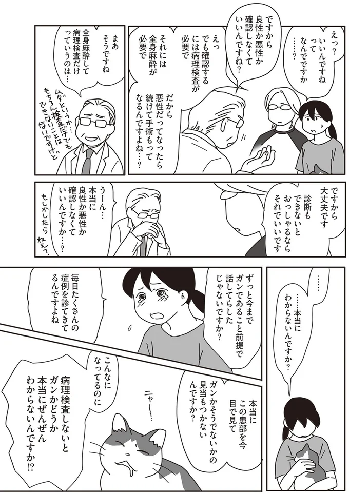 『世界一幸せな飼い主にしてくれた猫』より