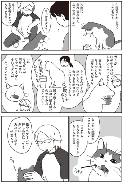 『世界一幸せな飼い主にしてくれた猫』より
