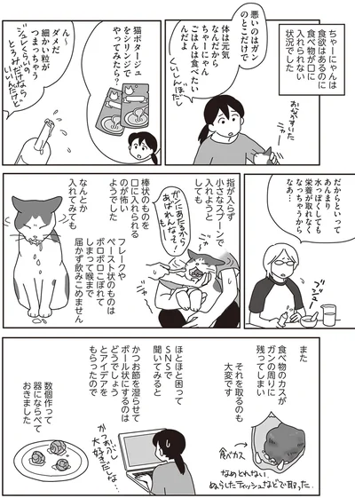『世界一幸せな飼い主にしてくれた猫』より