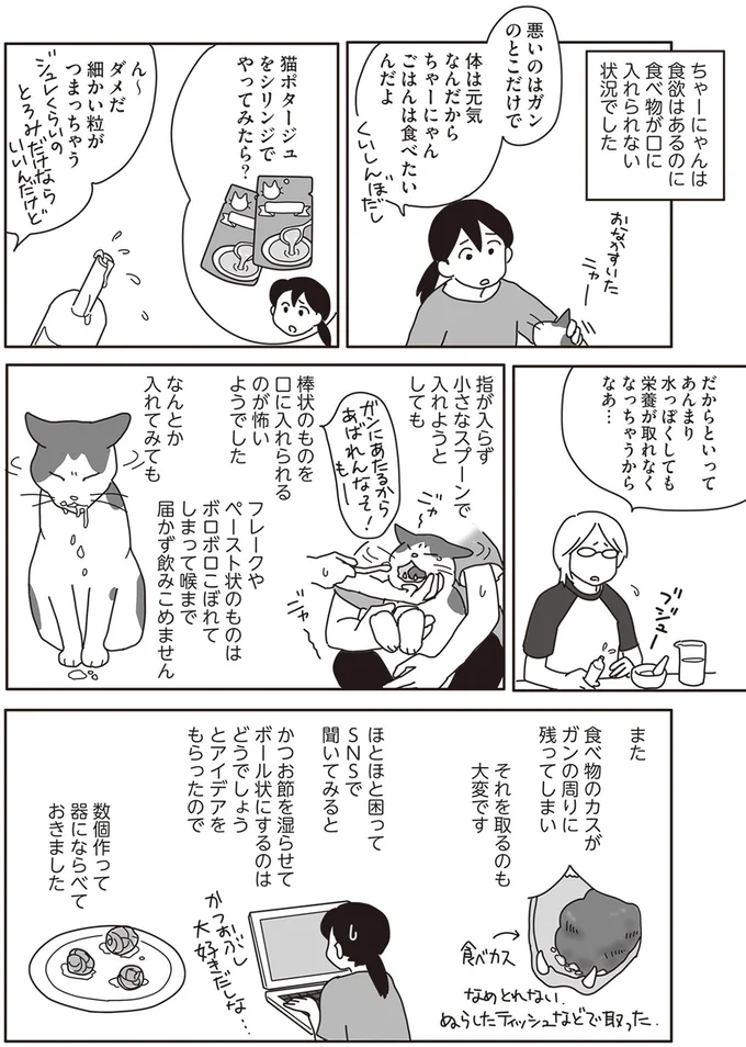 『世界一幸せな飼い主にしてくれた猫』より