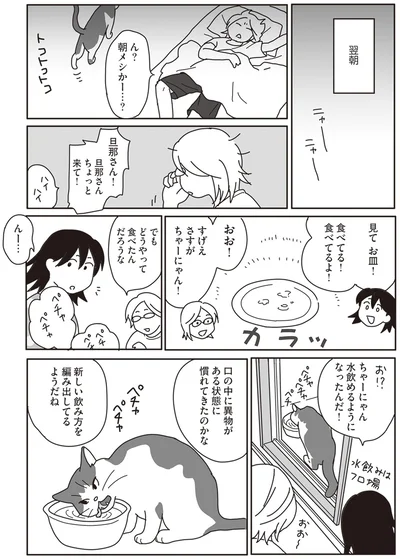 『世界一幸せな飼い主にしてくれた猫』より