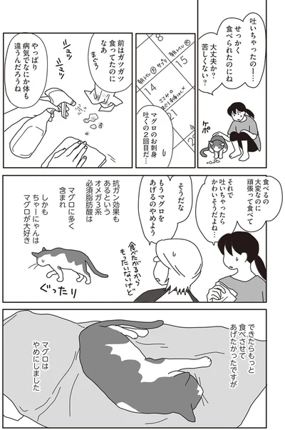 『世界一幸せな飼い主にしてくれた猫』より