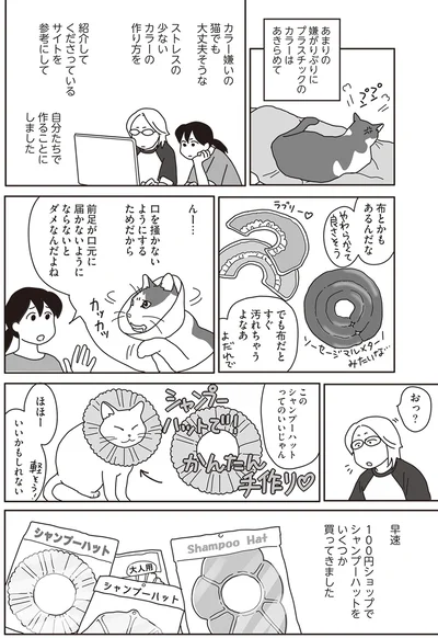 『世界一幸せな飼い主にしてくれた猫』より