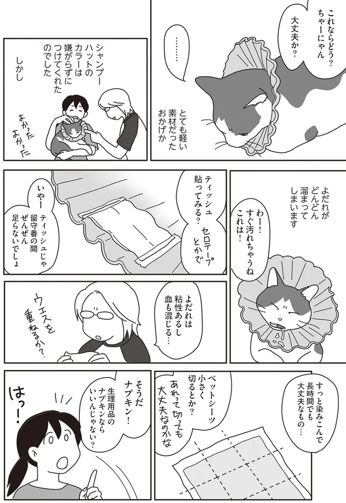 『世界一幸せな飼い主にしてくれた猫』より
