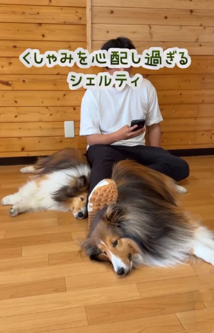 飼い主さんとくつろぎ中(⇒次へ)