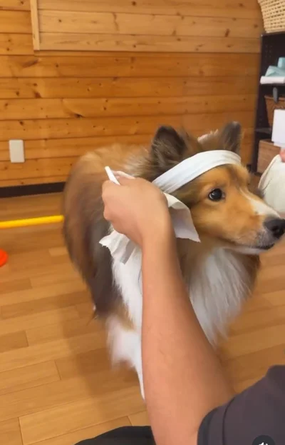 見事に真っ二つにできた▶まるで空手の達人…（⇒次へ）