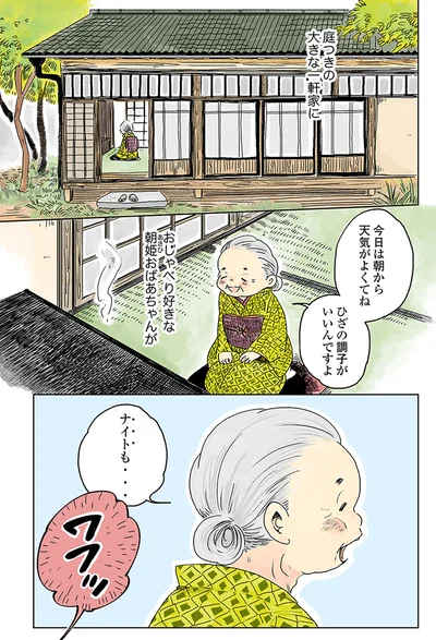『姫ばあちゃんとナイト 』より
