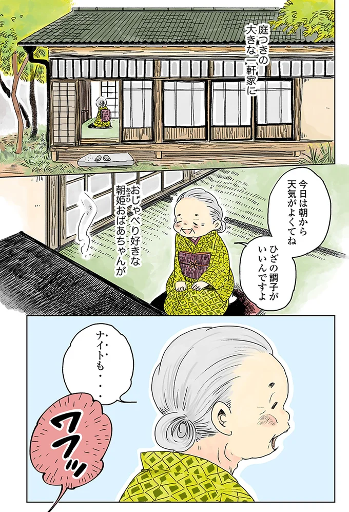『姫ばあちゃんとナイト 』より