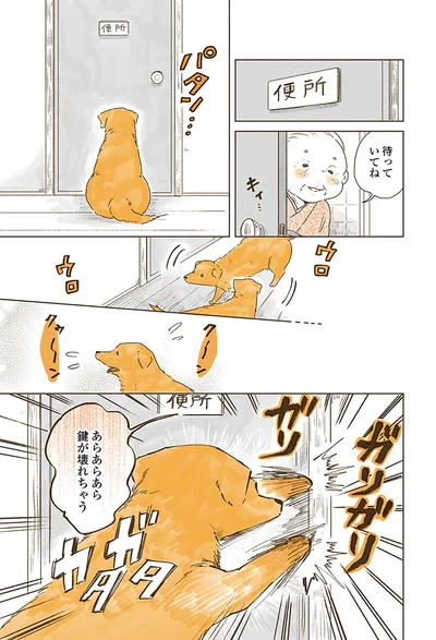 『姫ばあちゃんとナイト 』より