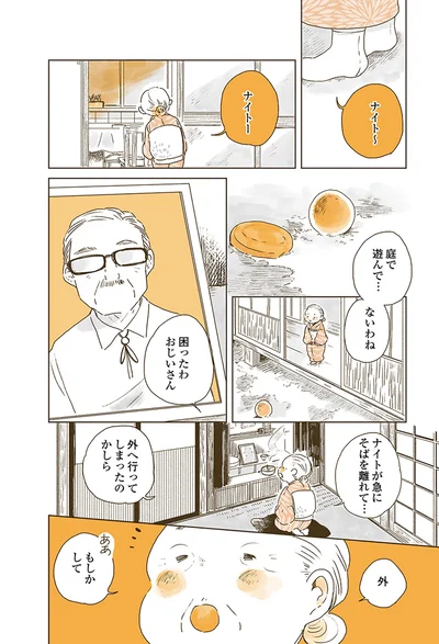 『姫ばあちゃんとナイト 』より