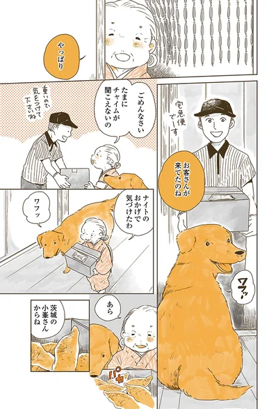 『姫ばあちゃんとナイト 』より