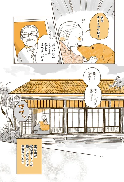『姫ばあちゃんとナイト 』より