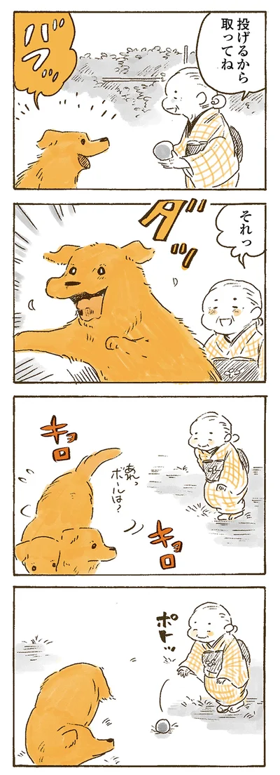 『姫ばあちゃんとナイト 』より
