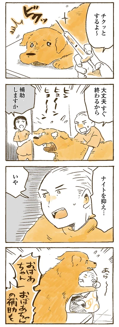 『姫ばあちゃんとナイト 』より
