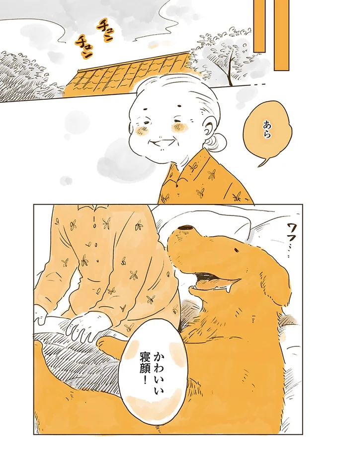 『姫ばあちゃんとナイト 』より