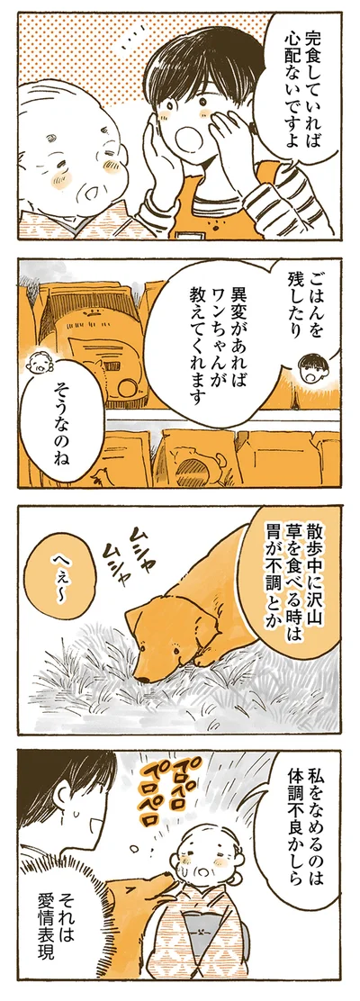 『姫ばあちゃんとナイト 』より