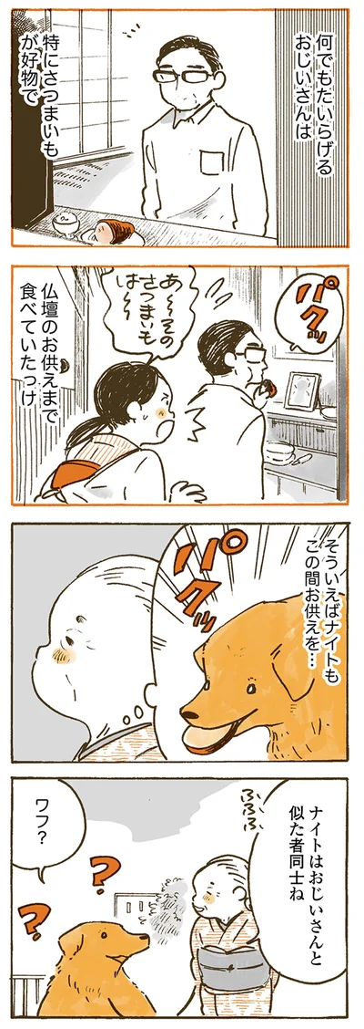 『姫ばあちゃんとナイト 』より