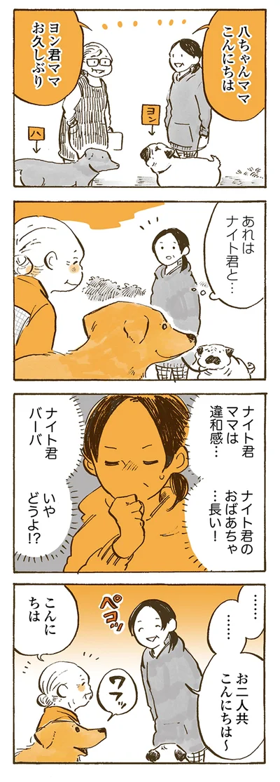 『姫ばあちゃんとナイト 』より