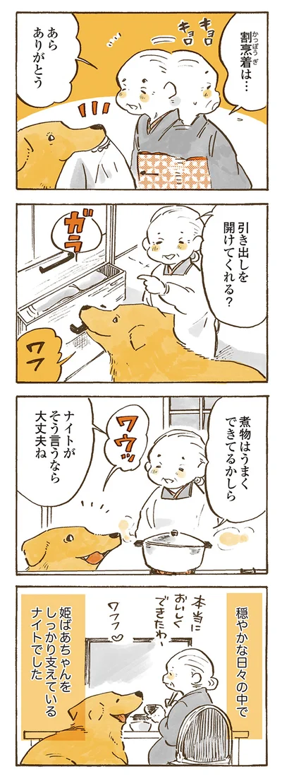 『姫ばあちゃんとナイト 』より