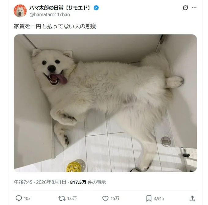 トイレの前でこのポーズ!▶SNSのポーズ(⇒次へ)