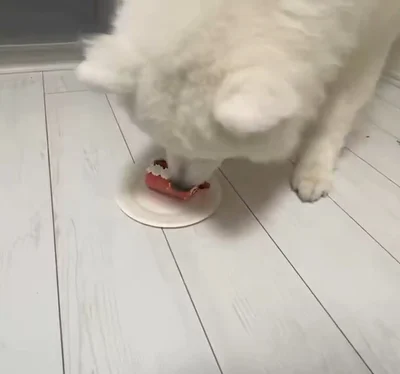 上手に食べていると思ったら…▶ハマ太郎くんの好みがわかります（⇒次へ）
