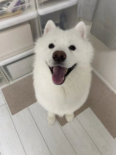 かわいい笑顔！▶止まらないかわいさ！！（⇒次へ）