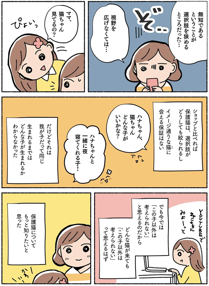 『ねこ活はじめました かわいい! 愛しい! だから知っておきたい保護猫のトリセツ』より