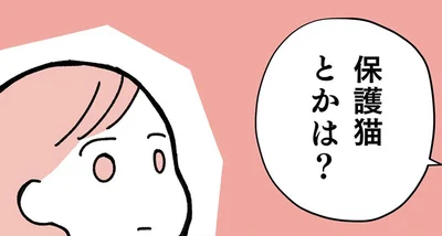 「保護猫は？」友人のひと言で知った、ペットショップ以外の選択肢