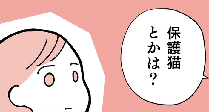 「保護猫は？」友人のひと言で知った、ペットショップ以外の選択肢／ねこ活はじめました（1）