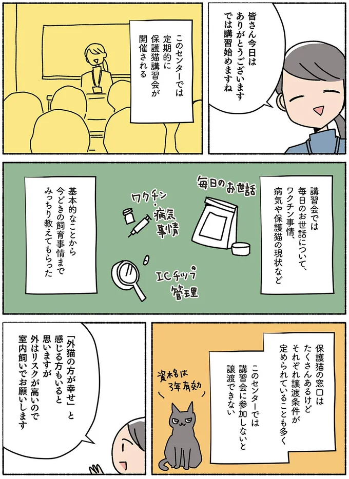 『ねこ活はじめました かわいい! 愛しい! だから知っておきたい保護猫のトリセツ』より