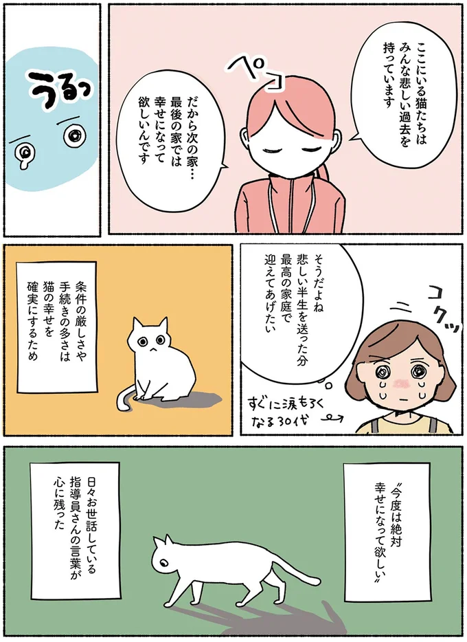 『ねこ活はじめました かわいい! 愛しい! だから知っておきたい保護猫のトリセツ』より