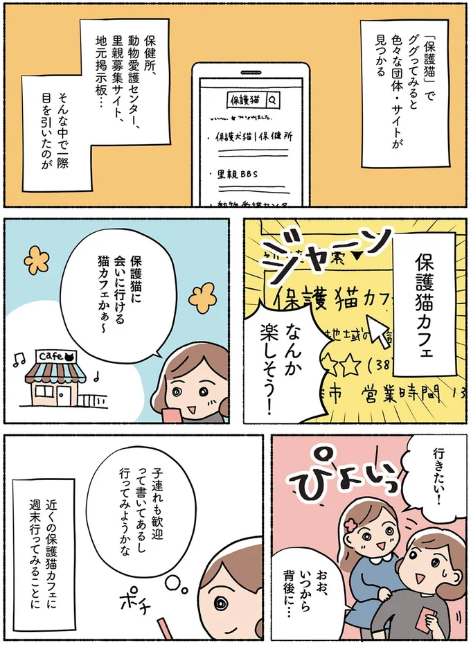 『ねこ活はじめました かわいい! 愛しい! だから知っておきたい保護猫のトリセツ』より