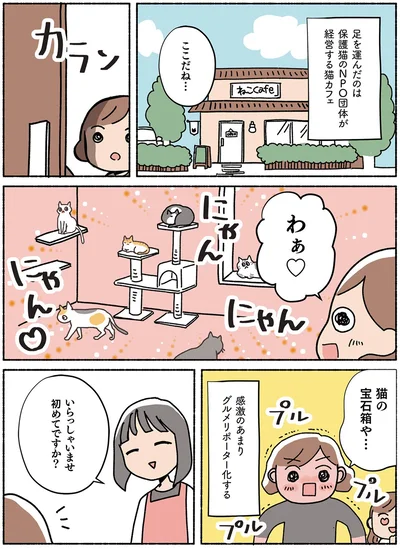  『ねこ活はじめました かわいい! 愛しい! だから知っておきたい保護猫のトリセツ』より
