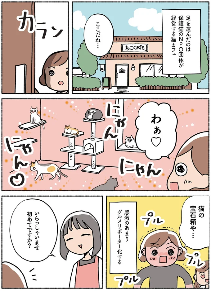 『ねこ活はじめました かわいい! 愛しい! だから知っておきたい保護猫のトリセツ』より