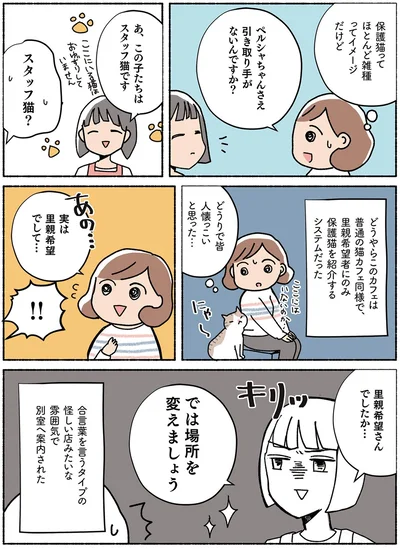  『ねこ活はじめました かわいい! 愛しい! だから知っておきたい保護猫のトリセツ』より