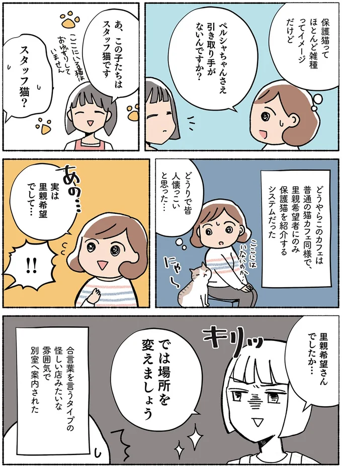 『ねこ活はじめました かわいい! 愛しい! だから知っておきたい保護猫のトリセツ』より