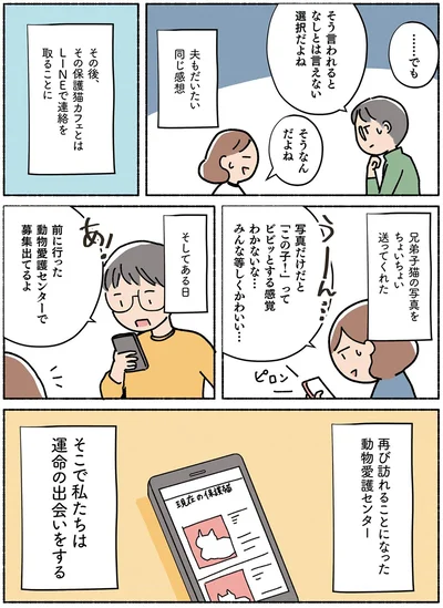  『ねこ活はじめました かわいい! 愛しい! だから知っておきたい保護猫のトリセツ』より