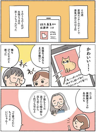  『ねこ活はじめました かわいい! 愛しい! だから知っておきたい保護猫のトリセツ』より