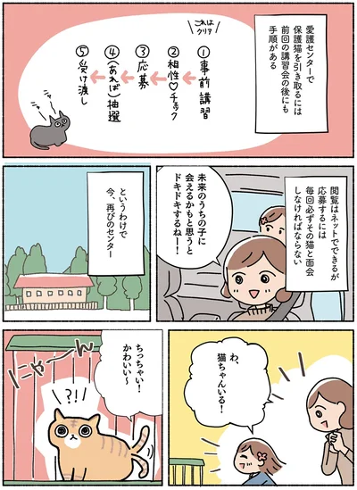  『ねこ活はじめました かわいい! 愛しい! だから知っておきたい保護猫のトリセツ』より